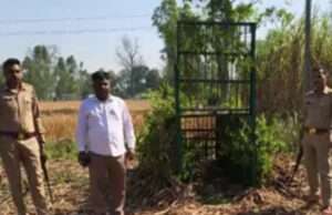 बाघ के हमले में गाय घायल संपूर्णानगर रेंज में वन विभाग ने किया निरीक्षण