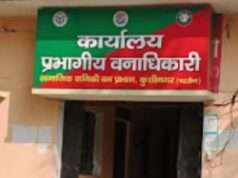 करोड़ों खर्च, जंगल गायब, डीएफओ की निगरानी पर उठ रहे सवाल