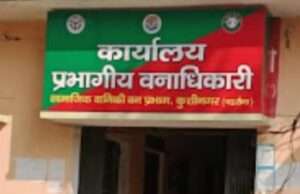 करोड़ों खर्च, जंगल गायब, डीएफओ की निगरानी पर उठ रहे सवाल