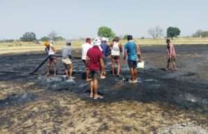 पड़रिया गांव में अज्ञात कारणों से गेहूं के खेतों में लगी आग