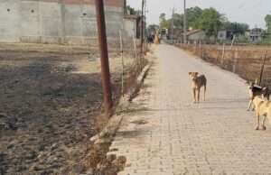 कोरांव में साल भर में ही टूट गया इंटरलॉकिंग सड़क का डिवाइडर