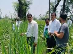 पलिया चीनी मिल के उपाध्यक्ष ने किया गन्ना सर्वे का औचक निरीक्षण
