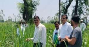 पलिया चीनी मिल के उपाध्यक्ष ने किया गन्ना सर्वे का औचक निरीक्षण