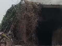 संदिग्ध दशा में ट्यूबवेल में लगी आग, कमरे में रखा गेहूं जलकर खाक