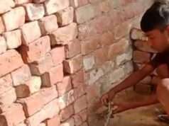 आठ बकरियां चोरी, ग्रामीणों में मचा हड़कंप