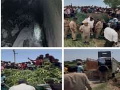 वन विभाग की तत्परता से तेंदुए का सफल रेस्क्यू, आमजन सुरक्षित