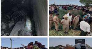 वन विभाग की तत्परता से तेंदुए का सफल रेस्क्यू, आमजन सुरक्षित