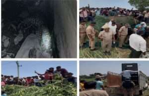 वन विभाग की तत्परता से तेंदुए का सफल रेस्क्यू, आमजन सुरक्षित