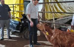 कृषि भवन स्थित गौशाला का डीएम ने किया औचक निरीक्षण, व्यवस्थाओं का लिया जायजा