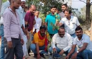 इंडियन प्रेस काउंसिल की सराहनीय पहल, स्वर्गीय चंद्र प्रकाश मिश्रा की स्मृति में किया गया पौधारोपण