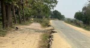 मानक रहित होने के कारण टूटने लगी सड़क
