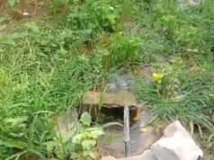 अदलपुरा में जल निगम के पानी से सिंचाई का वीडियो वायरल
