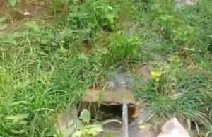 अदलपुरा में जल निगम के पानी से सिंचाई का वीडियो वायरल