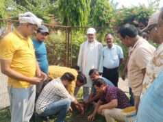 पूर्व पालिकाध्यक्ष मनोज जायसवाल ने किया वृक्षारोपण