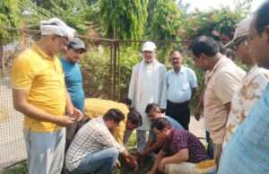 पूर्व पालिकाध्यक्ष मनोज जायसवाल ने किया वृक्षारोपण