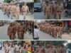 कुशीनगर पुलिस का सुरक्षा अभियान, जनपदभर में पैदल गश्त और फ्लैग मार्च