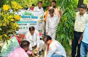 विश्व पर्यावरण दिवस एवं सीएम योगी आदित्यनाथ के जन्मदिन पर नपाध्यक्ष ने किया पौधारोपण