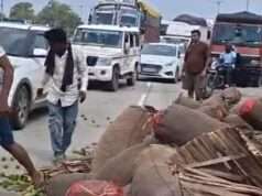 एनएच-19 पर अनियंत्रित होकर पलटा परवल लदा ट्रक, कानपुर-प्रयागराज हाईवे आधे घंटे रहा बाधित