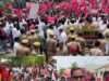 महंगाई, बेरोजगारी और पेपर लीक के खिलाफ सपा का हल्ला बोल, कलेक्ट्रेट तक निकाला मार्च
