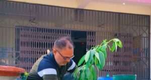 विश्व पर्यावरण दिवस पर एस ए वी इंटर कॉलेज इंग्लिश मीडियम सैनी में पौधारोपण कर दिया पर्यावरण संरक्षण का संदेश