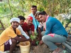 पर्यावरण दिवस पर सपा नेता सोनू वर्मा ने किया वृक्षारोपण