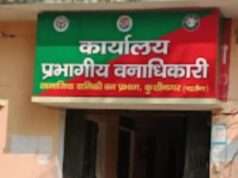 वन विभाग के आंकड़ों पर सवाल खडे कर रहे लगाए गए पौधे
