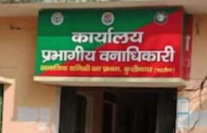वन विभाग के आंकड़ों पर सवाल खडे कर रहे लगाए गए पौधे