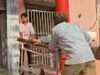 जिला अस्पताल की बदहाल व्यवस्था : मां की जान बचाने को बेटियां करती रहीं जद्दोजहद, स्वास्थ्य कर्मी रहे गायब