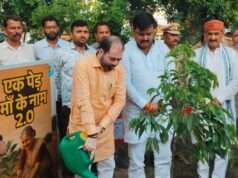 कलेक्ट्रेट परिसर में वृक्षारोपण कर प्रभारी मंत्री ने दिया पर्यावरण संरक्षण का संदेश