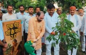 कलेक्ट्रेट परिसर में वृक्षारोपण कर प्रभारी मंत्री ने दिया पर्यावरण संरक्षण का संदेश