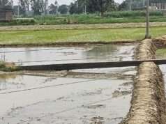 शिकायतों के बाद भी नहीं जागा विद्युत विभाग, हाईटेंशन पोल गिरने से महिला घायल