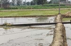 शिकायतों के बाद भी नहीं जागा विद्युत विभाग, हाईटेंशन पोल गिरने से महिला घायल