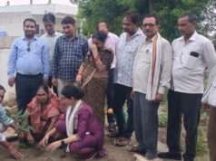 हरियाली का संदेश लेकर मैदान में उतरीं विधायक ऊषा मौर्य, ‘एक पेड़ मां के नाम’ अभियान में लगाया पौधा