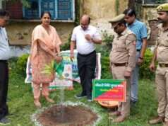 वन महोत्सव के तहत जिलाधिकारी ने लगाया आम का पौधा, पर्यावरण संरक्षण का दिया संदेश