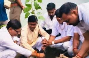 एक पेड़ माँ के नाम अभियान के तहत भाजपा जिलाध्यक्ष ने किया पौधारोपण