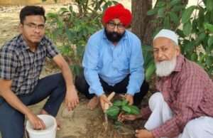 पौधे लगाने के बाद नियमित देखभाल करने का संकल्प का आह्वान किया