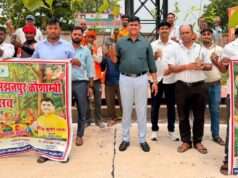 मंझनपुर नगर पालिका में वृहद वृक्षारोपण, पर्यावरण संरक्षण का लिया संकल्प