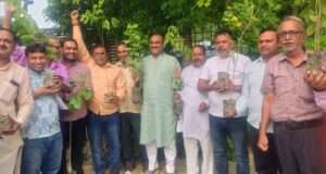 सभी 15 मंडलों में बूथ स्तर पर चलेगा वृहद वृक्षारोपण अभियान