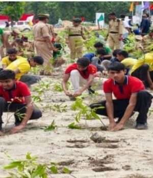 एक दिन में 39.09 लाख पौधे रोपकर कुशीनगर ने बनाया रिकॉर्ड, मधुरिया में बना ‘अविरल धारा वन