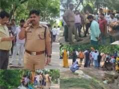 सड़क किनारे घारी में अनियंत्रित ट्रक-ट्रेलर पलटा, दबकर युवक व 12 मवेशियों की मौत; चालक पुलिस हिरासत में