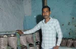 रानी लक्ष्मीबाई केंद्रीय कृषि विश्वविद्यालय में 10 जुलाई से शुरू होगा मशरूम सर्टिफिकेट कोर्स का पाँचवाँ बैच