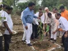 विधायक राजमणि कोल ने कोहड़ार मंडल में पौध रोपण कर पर्यावरण संरक्षण का दिया संदेश