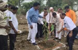 विधायक राजमणि कोल ने कोहड़ार मंडल में पौध रोपण कर पर्यावरण संरक्षण का दिया संदेश