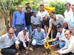 स्वामी विवेकानंद की पुण्यतिथि पर पुष्पांजलि, ‘एक पेड़ माँ के नाम’ अभियान के तहत हुआ पौधरोपण