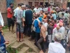 नाग पंचमी पर सकूलपुर में निःशुल्क बांटी जाती है जड़ी-बूटी