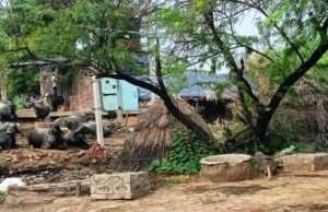 तालाब पर अवैध कब्जा से ग्रामीणों आक्रोश जांच की उठाई मांग
