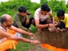 करंट लगने से बंदर की मौत, बजरंग दल कार्यकर्ताओं ने किया अंतिम संस्कार