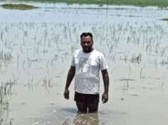 मिश्रपुर में जल निकासी न होने से सैकड़ों बीघे धान की फसल डूबी