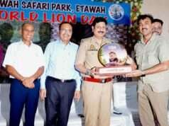 इटावा सफारी पार्क में विश्व लॉयन दिवस पर हुआ जागरूकता कार्यक्रम
