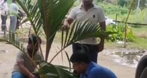 नेत्र चिकित्सालय में नए प्रभारी डॉ. विनय पाण्डेय ने शुरू किया सफाई वृक्षारोपण अभियान